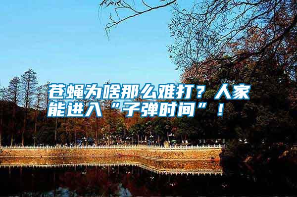 蒼蠅為啥那么難打？人家能進(jìn)入“子彈時間”！