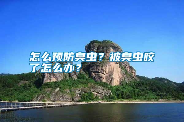 怎么預(yù)防臭蟲？被臭蟲咬了怎么辦？