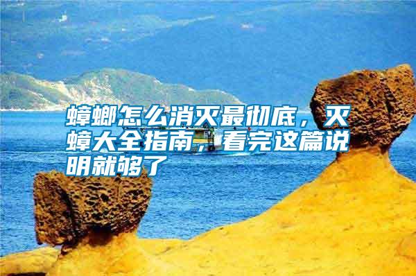 蟑螂怎么消滅最徹底，滅蟑大全指南，看完這篇說明就夠了