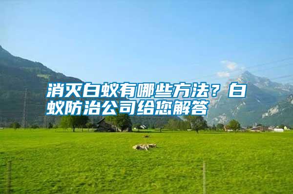 消滅白蟻有哪些方法？白蟻防治公司給您解答