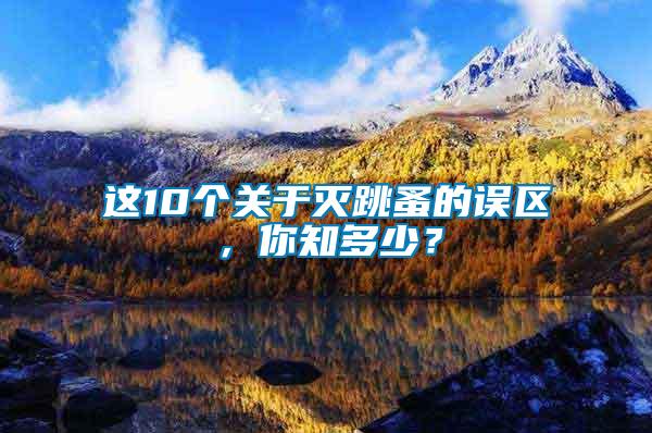 這10個關于滅跳蚤的誤區(qū)，你知多少？