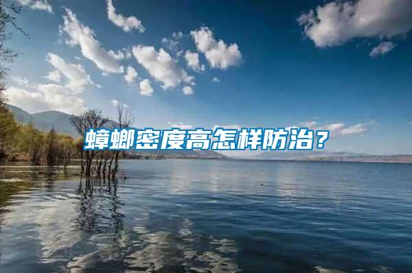 蟑螂密度高怎樣防治？