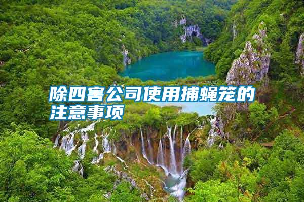 除四害公司使用捕蠅籠的注意事項