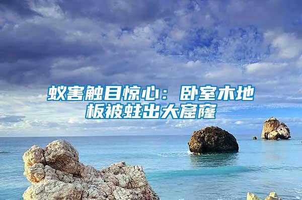 蟻害觸目驚心:臥室木地板被蛀出大窟窿
