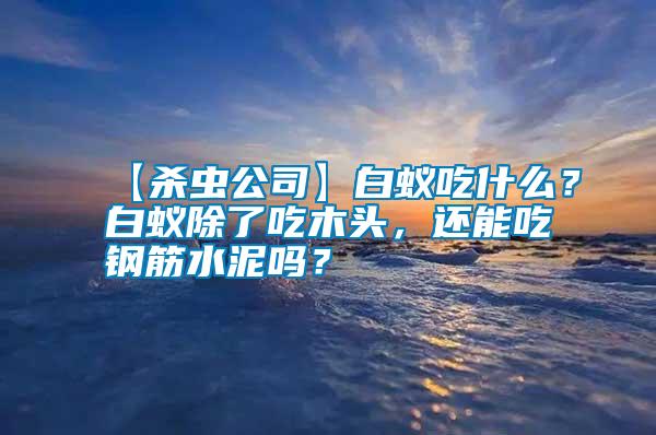 【殺蟲公司】白蟻吃什么？白蟻除了吃木頭，還能吃鋼筋水泥嗎？