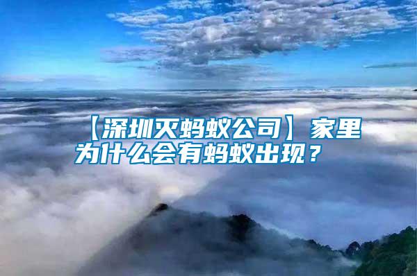 【深圳滅螞蟻公司】家里為什么會(huì)有螞蟻出現(xiàn)？