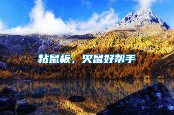 粘鼠板，滅鼠好幫手