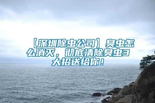 【深圳除蟲公司】臭蟲怎么消滅，徹底清除臭蟲3大招送給你！