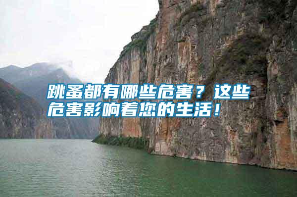 跳蚤都有哪些危害？這些危害影響著您的生活！