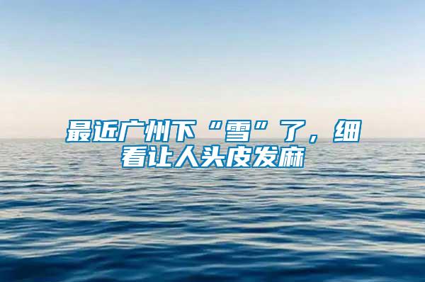 最近廣州下“雪”了，細(xì)看讓人頭皮發(fā)麻