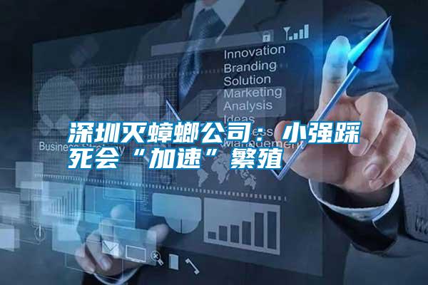 深圳滅蟑螂公司:小強(qiáng)踩死會(huì)“加速”繁殖