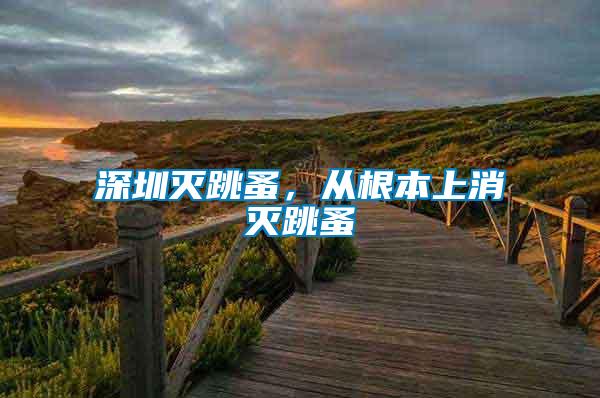 深圳滅跳蚤，從根本上消滅跳蚤