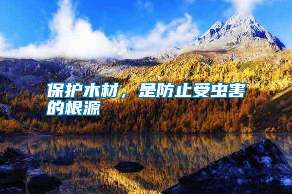 保護(hù)木材，是防止受蟲(chóng)害的根源