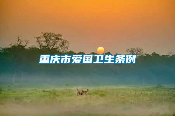 重慶市愛國衛(wèi)生條例