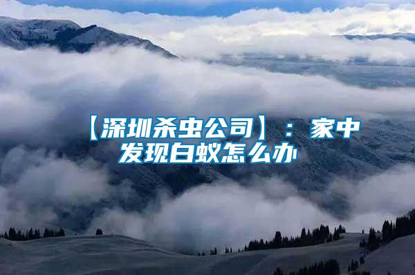 【深圳殺蟲公司】:家中發(fā)現(xiàn)白蟻怎么辦