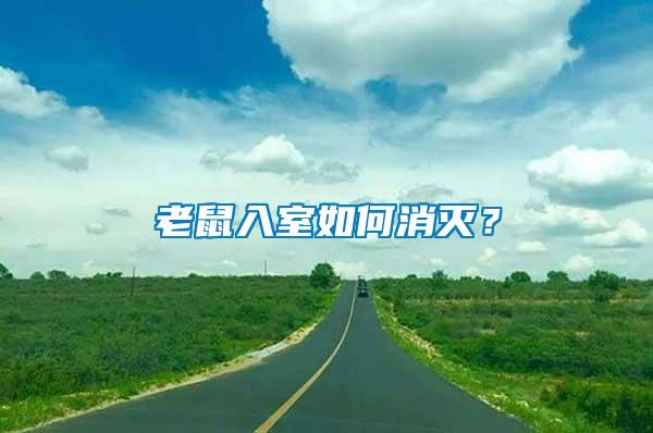 老鼠入室如何消滅?
