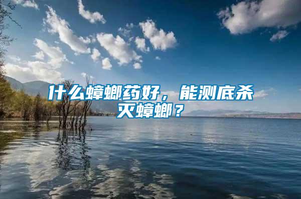 什么蟑螂藥好，能測底殺滅蟑螂？