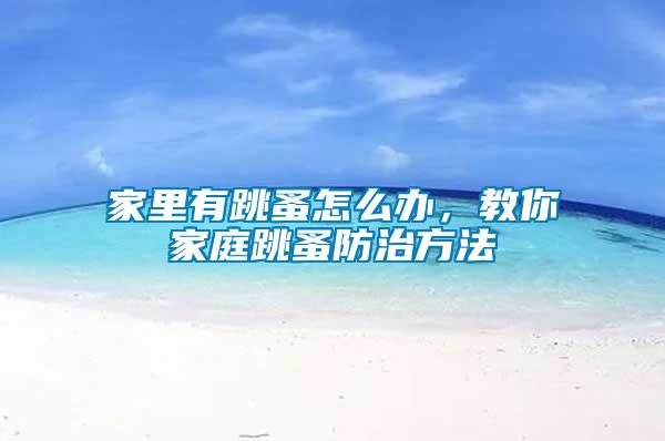 家里有跳蚤怎么辦，教你家庭跳蚤防治方法