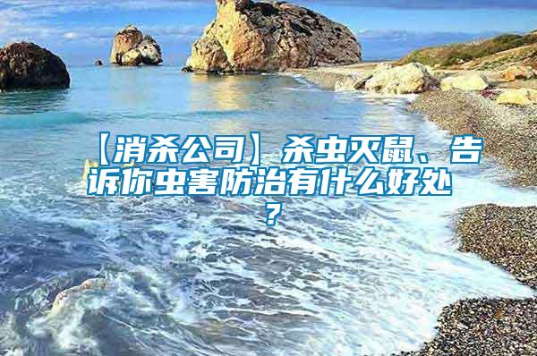 【消殺公司】殺蟲滅鼠、告訴你蟲害防治有什么好處？