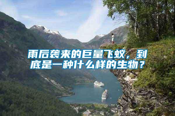 雨后襲來的巨量飛蟻，到底是一種什么樣的生物？
