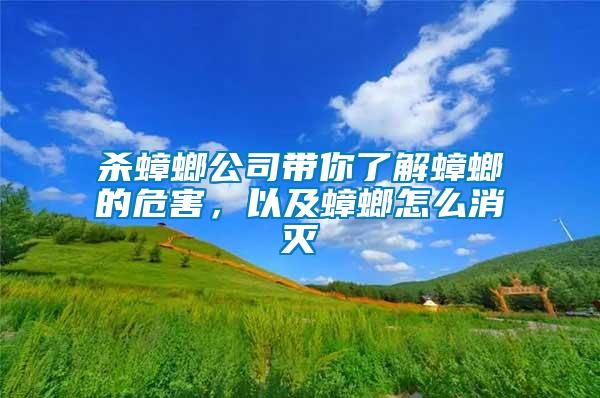 殺蟑螂公司帶你了解蟑螂的危害，以及蟑螂怎么消滅