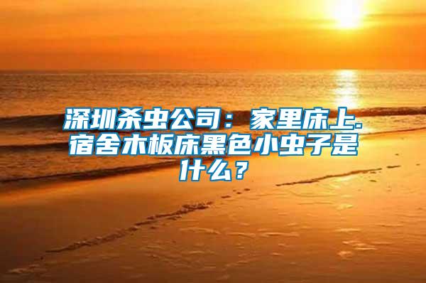 深圳殺蟲(chóng)公司:家里床上.宿舍木板床黑色小蟲(chóng)子是什么?