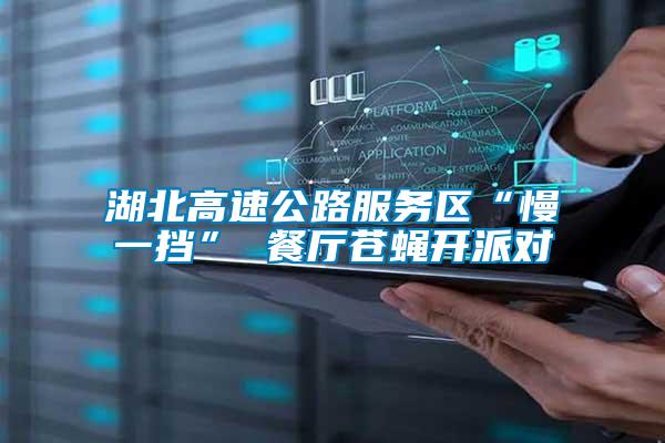 湖北高速公路服務(wù)區(qū)“慢一擋” 餐廳蒼蠅開(kāi)派對(duì)