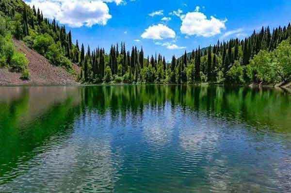 蟑螂藥廠家:殺蟑顆粒與殺蟑膠餌