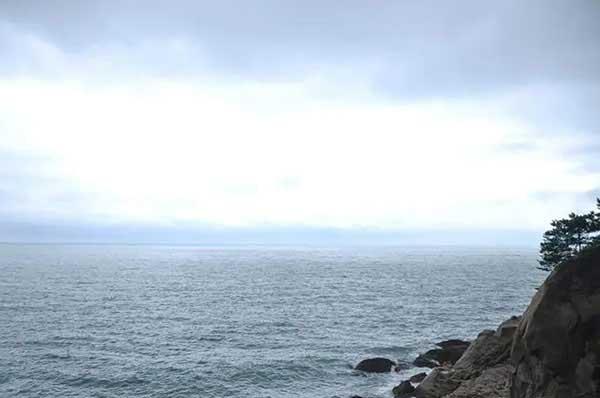 【殺蟲公司】跳蚤怎么消滅？6招教你家里有跳蚤怎么殺更徹底