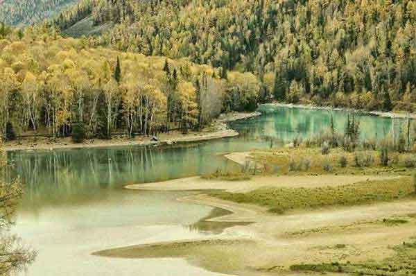 花少的錢解決蟑螂問題是真的嗎？