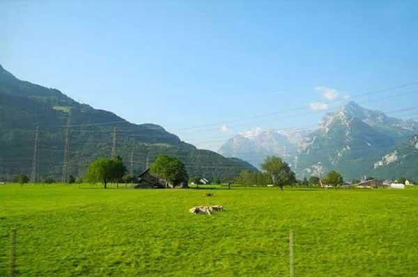 說起蟑螂，它可是一個“藏匿高手”，你想找它，不容易，除非它直接跑到你面前！