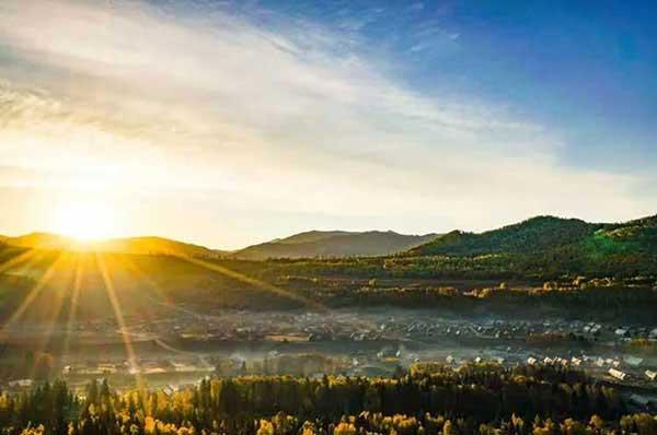 有了蟑螂怎么辦、要及時處理嗎