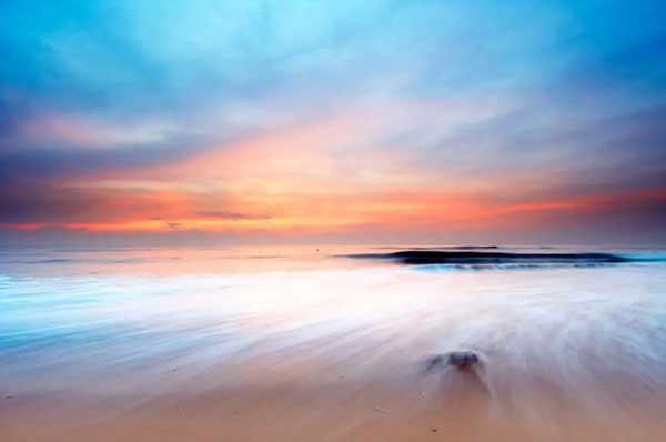 深圳滅蟑螂那公司提示：臭蟲猖撅