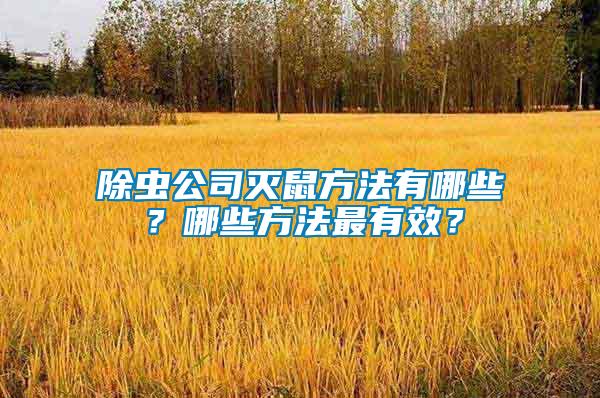 除蟲(chóng)公司滅鼠方法有哪些？哪些方法最有效？