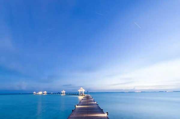 滅蟲公司，大家都需要