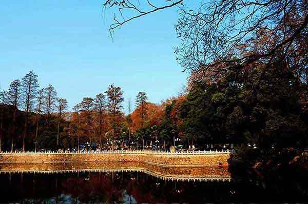 氟乙酸鈉、氟乙酰胺和甘氟的中毒和解救