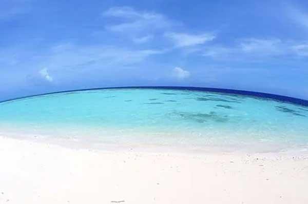 殺蟲公司細(xì)談臭蟲如何徹底消滅?