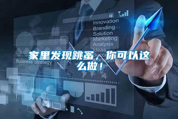 家里發(fā)現(xiàn)跳蚤，你可以這么做！