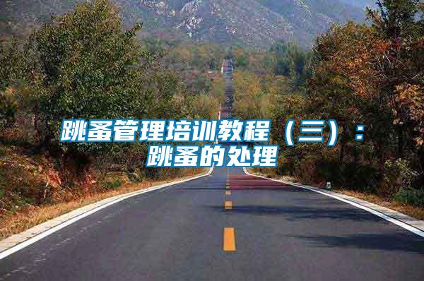 跳蚤管理培訓(xùn)教程(三):跳蚤的處理