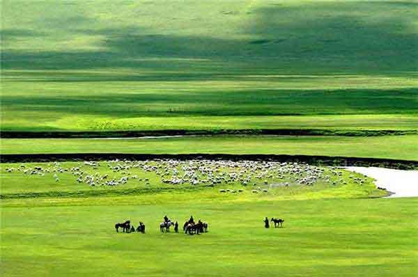 列車?yán)餅槭裁磿?huì)有蟑螂