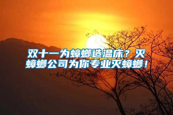 雙十一為蟑螂造溫床？滅蟑螂公司為你專業(yè)滅蟑螂！