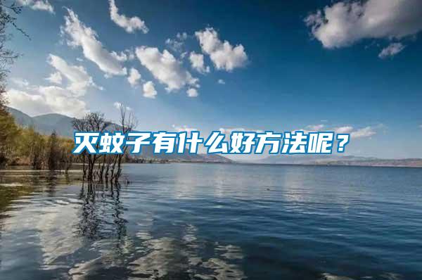 滅蚊子有什么好方法呢？