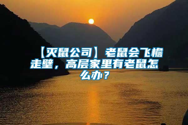 【滅鼠公司】老鼠會(huì)飛檐走壁，高層家里有老鼠怎么辦？