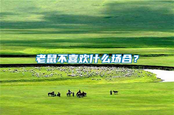 老鼠不喜歡什么場(chǎng)合？