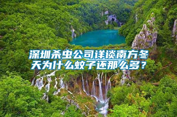 深圳殺蟲(chóng)公司詳談南方冬天為什么蚊子還那么多？