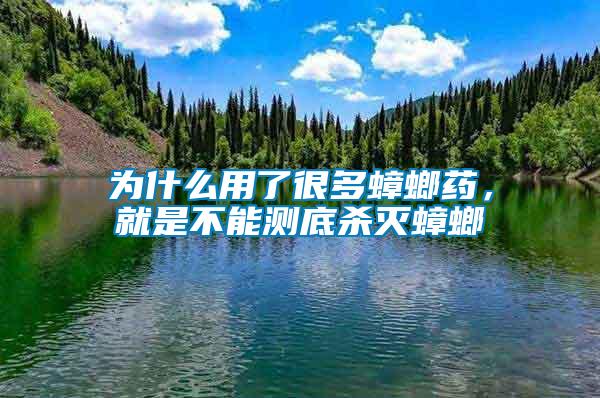 為什么用了很多蟑螂藥，就是不能測底殺滅蟑螂