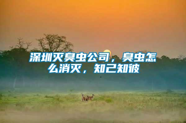 深圳滅臭蟲公司，臭蟲怎么消滅，知己知彼