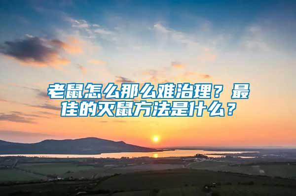 老鼠怎么那么難治理？最佳的滅鼠方法是什么？