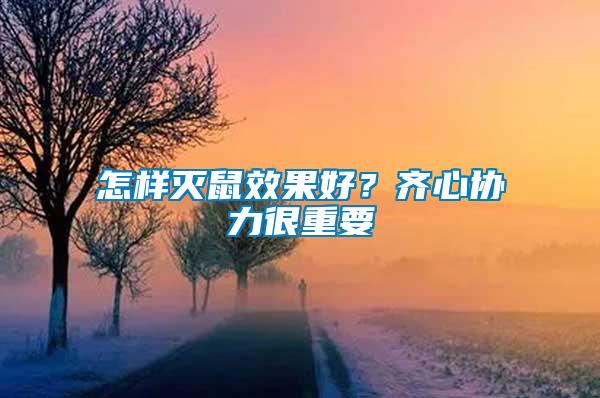 怎樣滅鼠效果好？齊心協(xié)力很重要