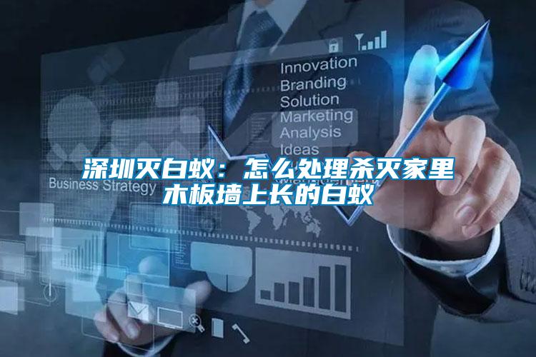 深圳滅白蟻:怎么處理殺滅家里木板墻上長(zhǎng)的白蟻